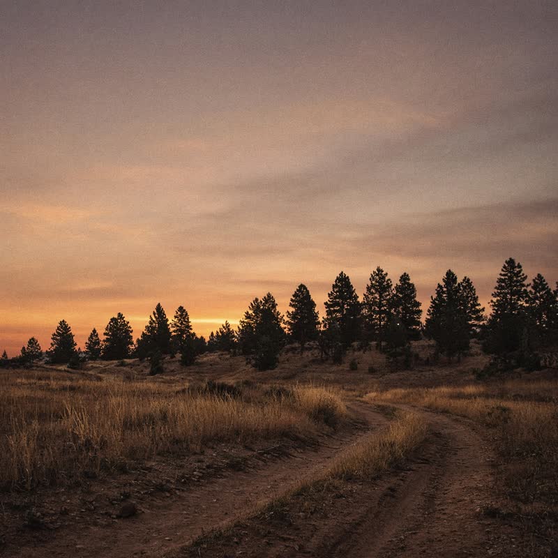 Last Light on the Ridge